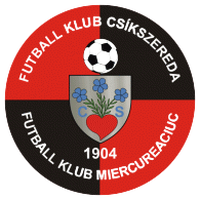 FK Csikszereda Miercurea Ciuc U19