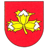 FK Melcice-Lieskove