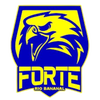 Forte FC
