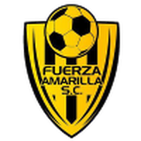 Fuerza Amarilla SC Reserves