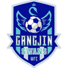 Gangjin Swans (W)