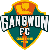 Gangwon FC