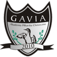 Gavia Choszczno