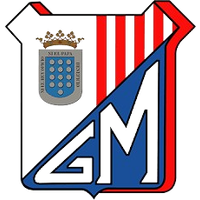 Gimnastica Medinense