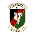 Glentoran FC