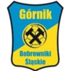 Gornik Bobrowniki Slanskie