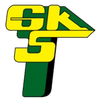 Gornik Leczna B