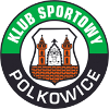 Gornik Polkowice