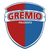 Gremio Prudente'