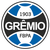 Gremio Youth