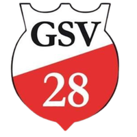 GSV 28