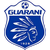 Guarani de Palhoca