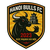 Ha Noi Bulls