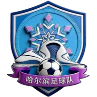 Harbin Team