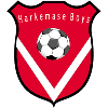 Harkemase Boys