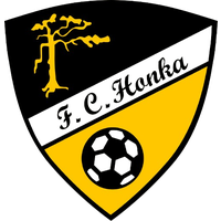Honka Espoo Team B (W)
