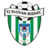 Horni Briza