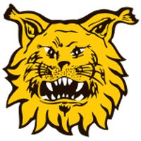 Ilves II (W)