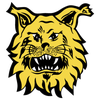 Ilves Tampere II