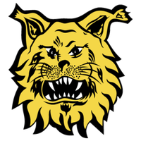 Ilves Tampere II