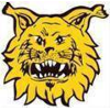Ilves Tampere (W)
