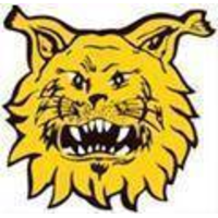 Ilves Tampere (W)