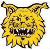 Ilves Tampere (w)