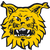 Ilves Tampere