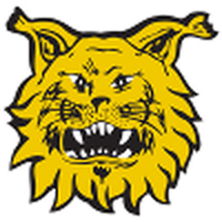 Ilves U20
