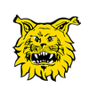 Ilves Youth