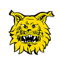 Ilves Youth
