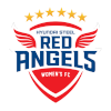 Incheon Hyundai Steel Red Angels (W)