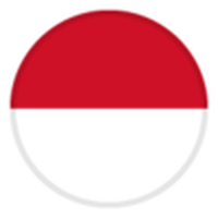 Indonesia Universiteti