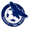 Ironi Nesher