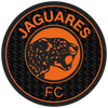 Jaguares Chiapas II