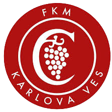Karlova Ves U19