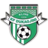 KF Dukagjini