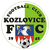 Kozlovice
