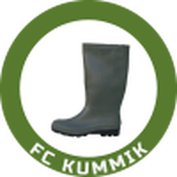 Kummik