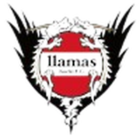 Llamas Kochi FC