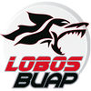 Lobos BUAP