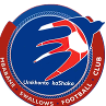 Mbabane Swallows