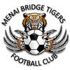 Menai Bridge Tigers