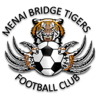 Menai Bridge Tigers