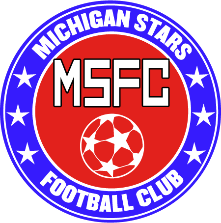 Michigan Stars