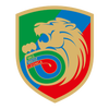 Miedz Legnica Youth