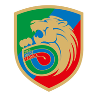 Miedz Legnica Youth