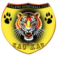 Mighty Tigers