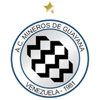 Mineros de Guayana