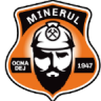 Minerul Ocna De